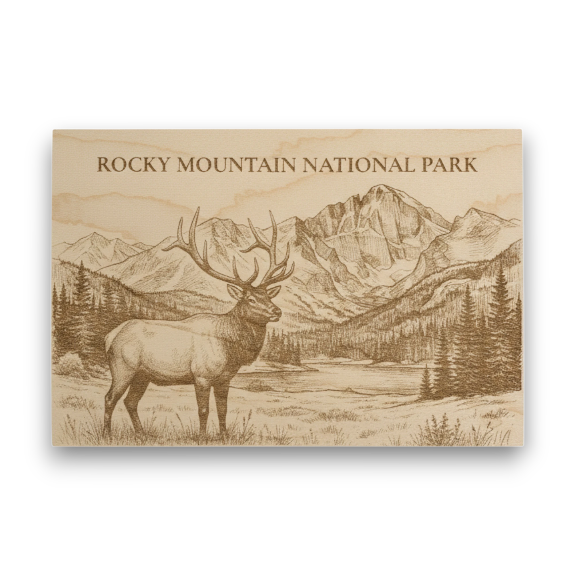 Rocky Mountain National Park Wood Keepsake |  Bull Elk Souvenir | Made in USA