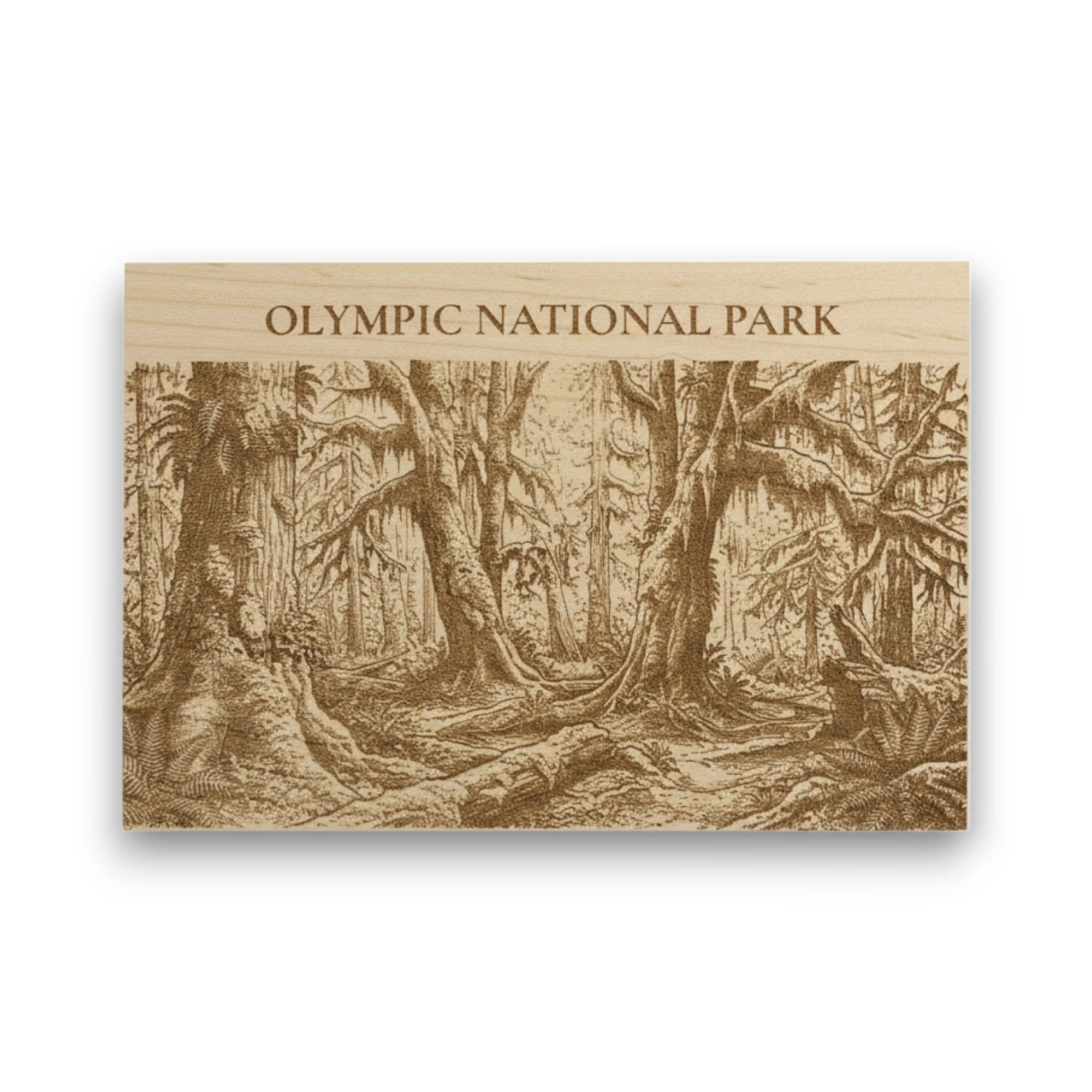 Olympic National Park Wood Keepsake | Hoh Rainforest Souvenir Made in USA